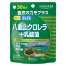 八重山クロレラ+乳酸菌（30日分）